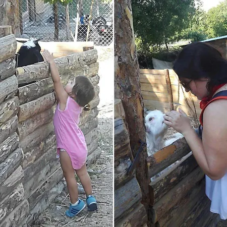 リゾート Yasayan Koy Kizilcasogut