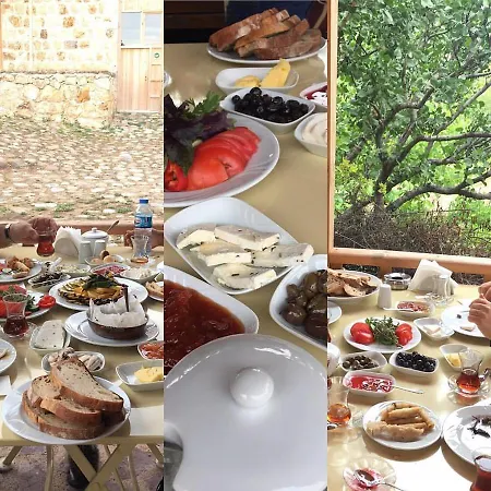 リゾート Yasayan Koy *