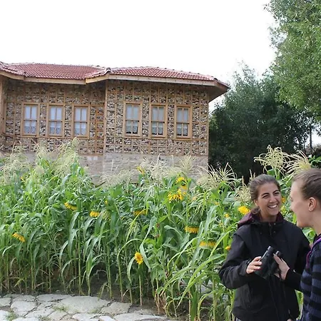 Yasayan Koy Kizilcasogut