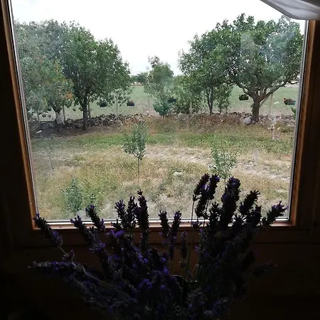 Yasayan Koy リゾート