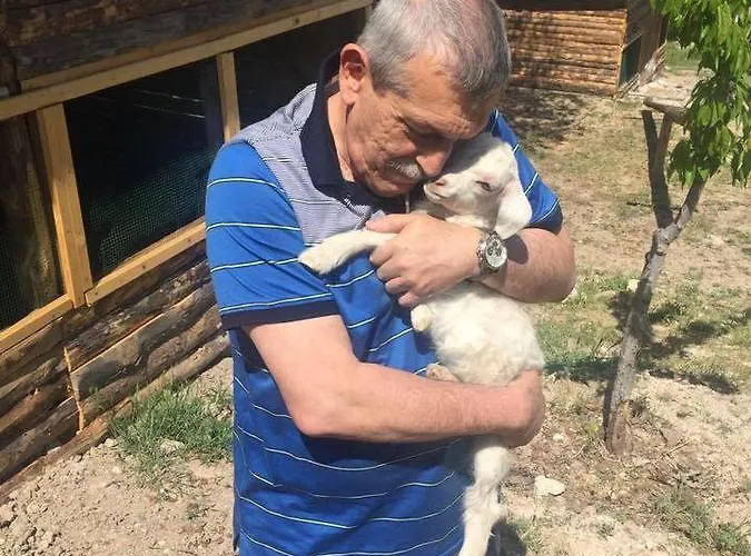 Курортный комплекс Yasayan Koy