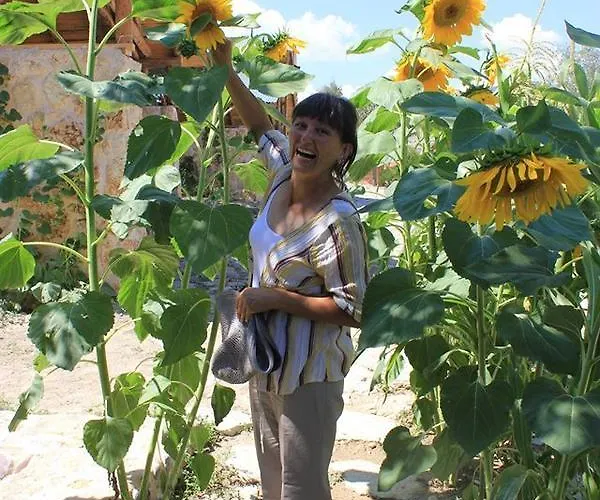 Yasayan Koy * Kizilcasogut