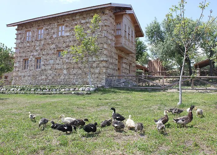 Yasayan Koy Курортный комплекс *