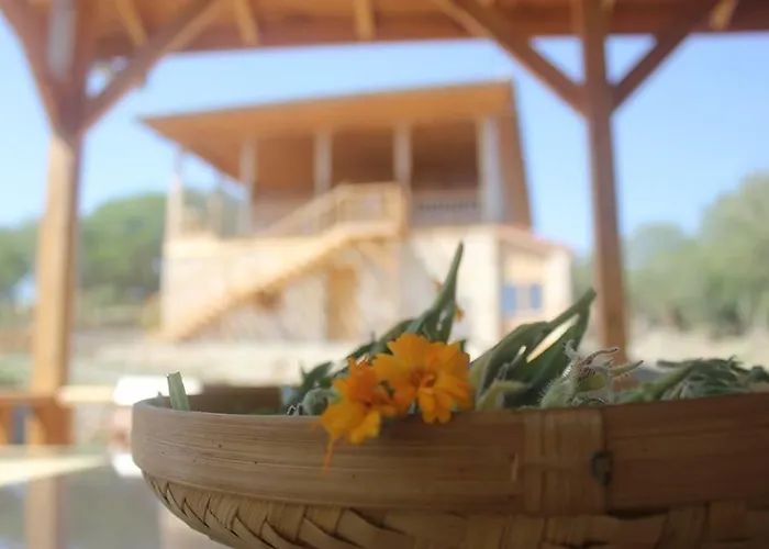 Yasayan Koy Курортный комплекс