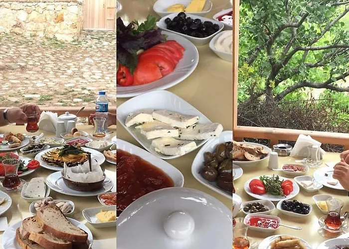 Курортный комплекс Yasayan Koy *