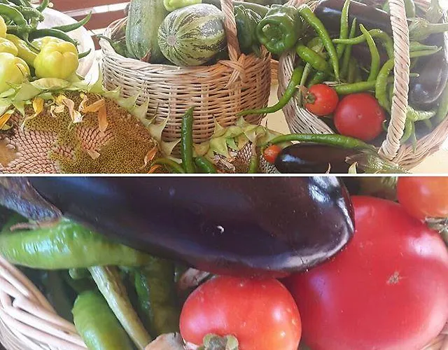 Курортный комплекс Yasayan Koy *