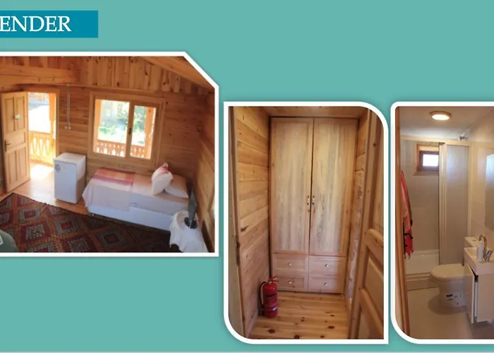 Yasayan Koy Kizilcasogut