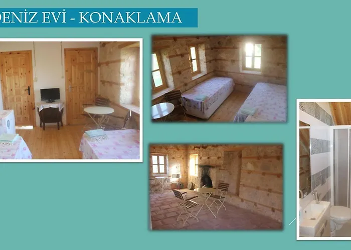 Yasayan Koy Курортный комплекс Kizilcasogut