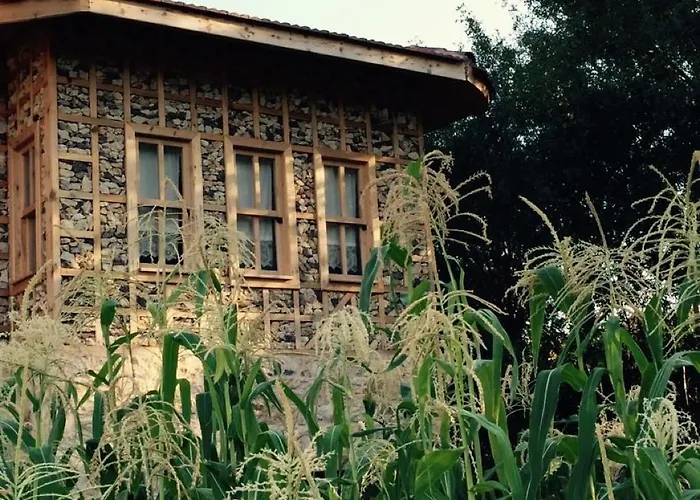 Yasayan Koy * Kizilcasogut