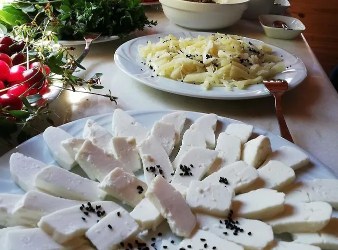 Yasayan Koy Kizilcasogut