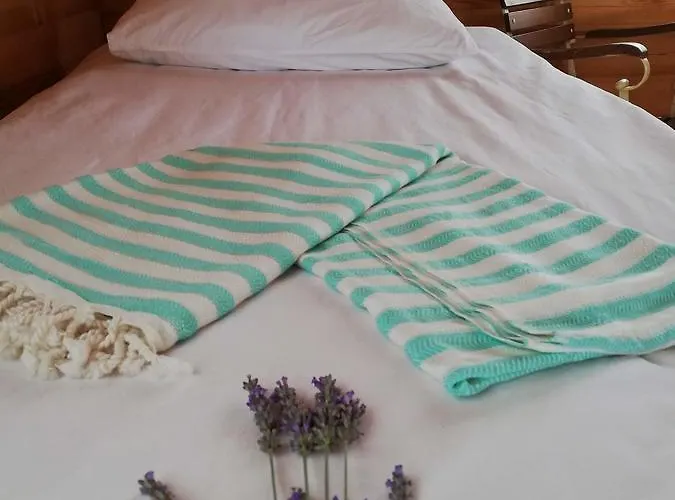 Курортный комплекс Yasayan Koy Kizilcasogut