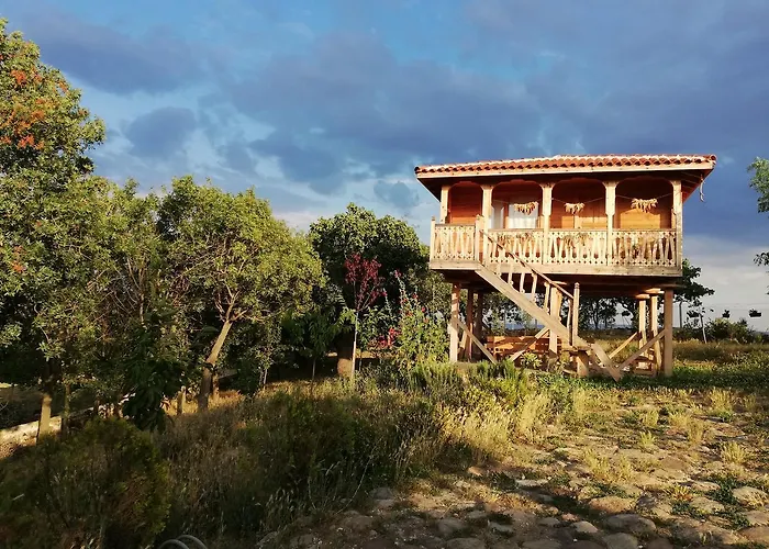 Курортный комплекс Yasayan Koy *