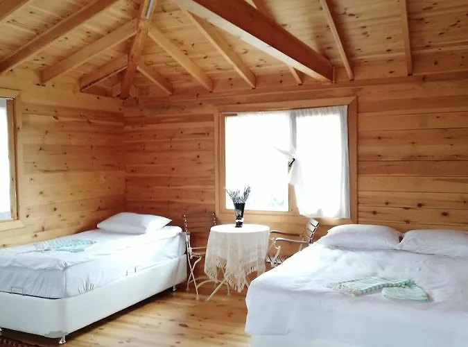 Курортный комплекс Yasayan Koy *