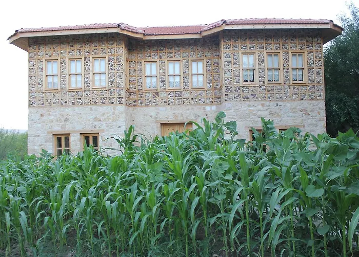 Курортный комплекс Yasayan Koy Kizilcasogut