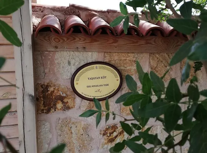 Yasayan Koy Курортный комплекс Kizilcasogut