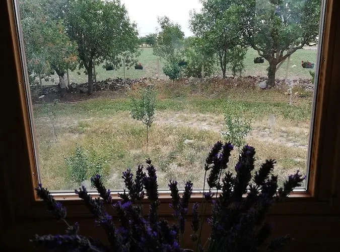 Yasayan Koy Курортный комплекс